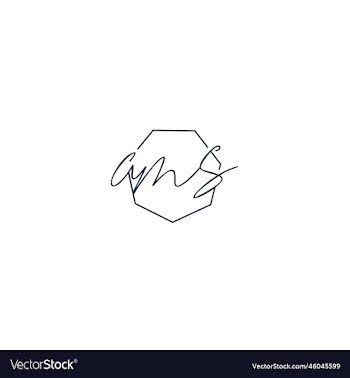 a n s logo
