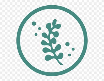 A Natural Solution - Seaweed Icon Png
