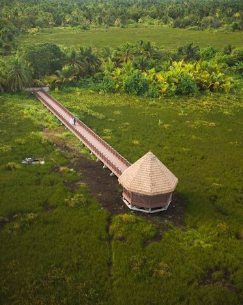 A newly married couple walks along a walkway to a tropical hut in the Maldives