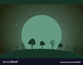 a night landscape