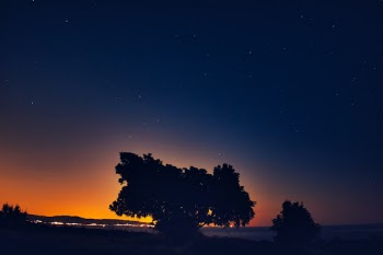 A night with a super moon and a tree in the right place.