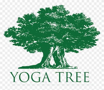 A Parayoga Immersion With Yogarupa Rod Stryker At Yoga - Yoga Tree Sf