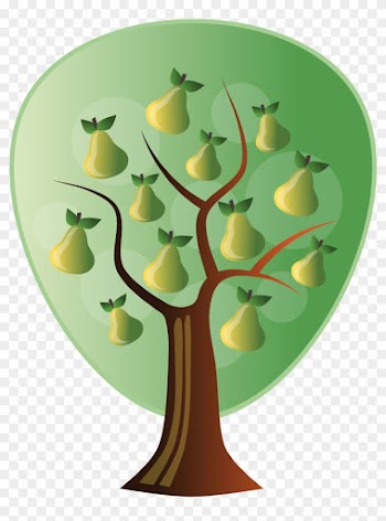 A Pear Growing On A - Pear Tree: Collection Of Poems