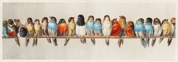 A Perch of Birds vintage | Free Photo Illustration - rawpixel