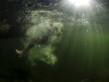 A person swimming underwater with the sun | Free Photo - rawpixel