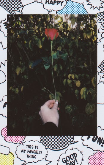 A Photo Of A Person Holding Up A Single Red Rose Screenshot
