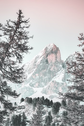 A pinky wallpaper never goes wrong ... :-)