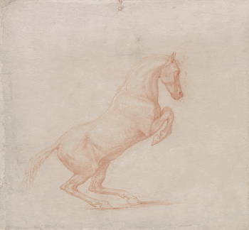 A Prancing Horse, Facing Right | Free Photo - rawpixel