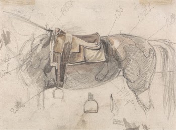 A Racing Saddle on a Horse's | Free Photo - rawpixel