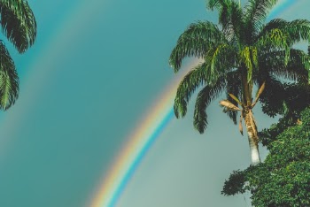A Rainbow in the morning.