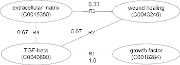 A real example to calculate the local importance of relations. The ...