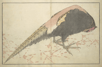 A Realistic Sketchbook by Hokusai | Free Photo - rawpixel