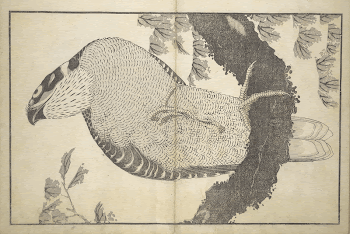 A Realistic Sketchbook by Hokusai | Free Photo - rawpixel