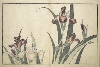 A Realistic Sketchbook by Hokusai | Free Photo - rawpixel