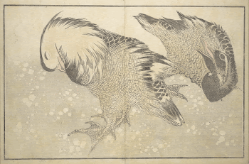 A Realistic Sketchbook by Hokusai | Free Photo - rawpixel