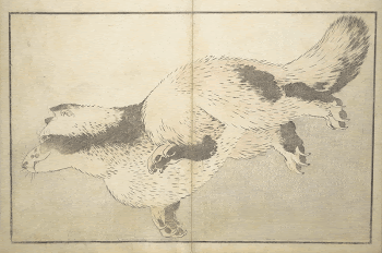 A Realistic Sketchbook by Hokusai | Free Photo - rawpixel