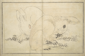 A Realistic Sketchbook by Hokusai | Free Photo - rawpixel