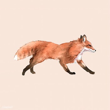 A red fox painted by watercolor | Free stock vector - 489163