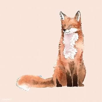 A red fox painted by watercolor | Free stock vector - 489171