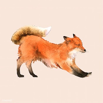 A red fox painted by watercolor | Free stock vector - 489193
