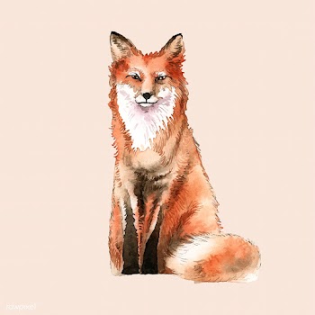 A red fox painted by watercolor | Free stock vector - 489281