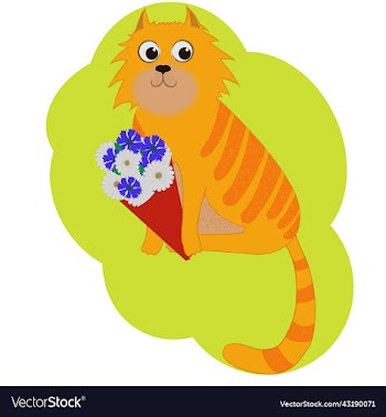 a red striped cat
