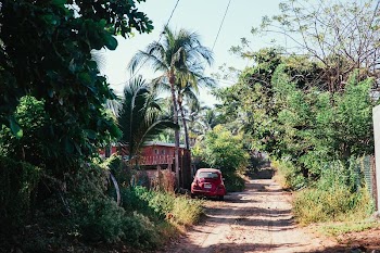 A red Volkswagon beetle car | Free Photo - rawpixel