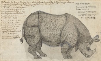 A Rhinoceros in the Peshwa's | Free Photo - rawpixel