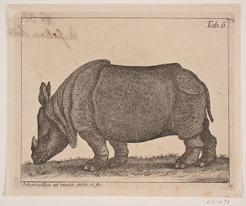 A rhinoReviewed by contributorsThis translation | Free Photo - rawpixel