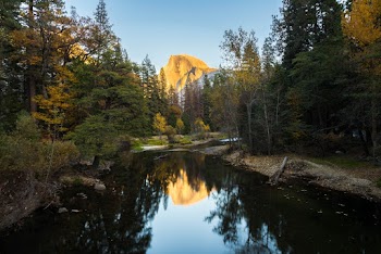 A River Between Forest
