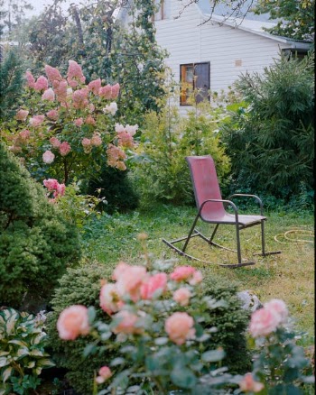 A Rocking Chair in a Flower Garden  · Free Stock Photo