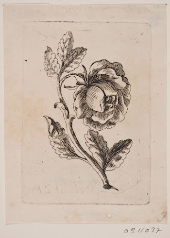 A roseReviewed by contributorsThis translation | Free Photo - rawpixel