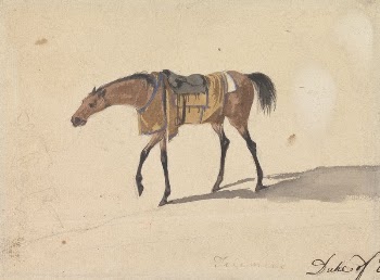 A Saddle Horse of the Duke | Free Photo - rawpixel