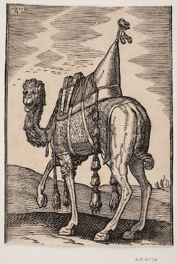 A saddled dromedary whose head | Free Photo - rawpixel