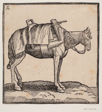 A saddled-up carrier-horse | Free Photo - rawpixel