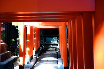 A series of torii in Tokyo