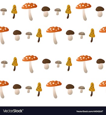 a set of various autumn mushrooms multicolored