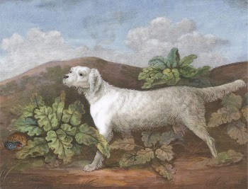 A Setter: Facing Left, with a Partridge | Free Photo - rawpixel