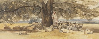 A Shepherd with Flock Beneath | Free Photo - rawpixel
