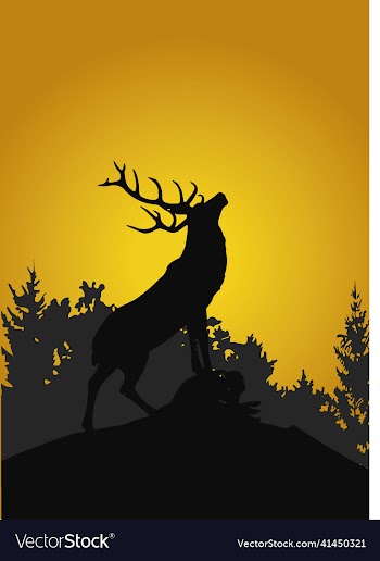 a silhouette of barren ground caribou bull