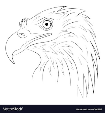 a simple hand-drawn eagle head