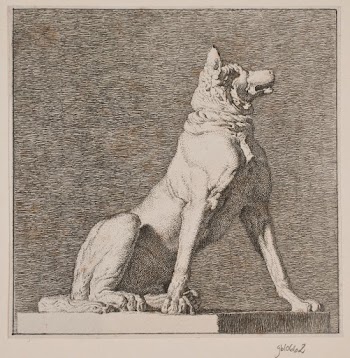 A sitting dog after an | Free Photo - rawpixel