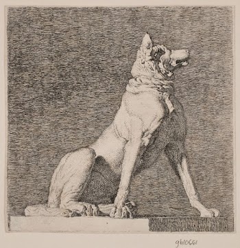 A sitting dog after an | Free Photo - rawpixel