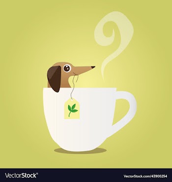 a small brown dachshund sits in cup of tea
