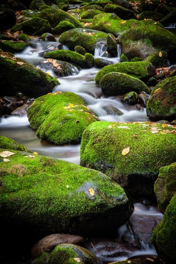 A small cascade over moss covered rocks in Great Smoky Mountains National Park, Tennessee, USA. 
