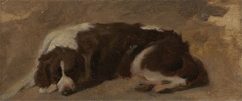 A Spaniel Lying Down | Free Photo - rawpixel
