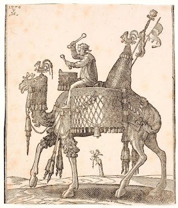 A splendidly saddled dromedary with a drummer | Free Photo - rawpixel