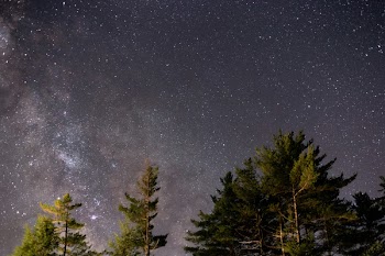 A Starry Night