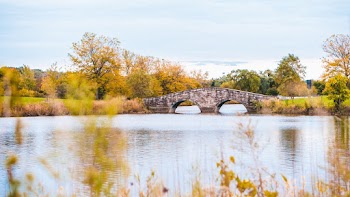 A Stone Bridge Across A River Surrounded By Lush Vegetation