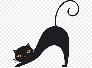 A stretched black cat 